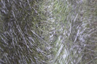 Ablington fibreglass roof work